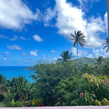Hotel Happy Nest Dominica Marigot Esterno foto