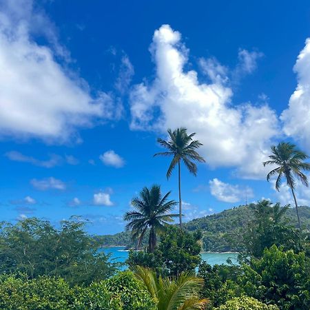 Hotel Happy Nest Dominica Marigot Esterno foto