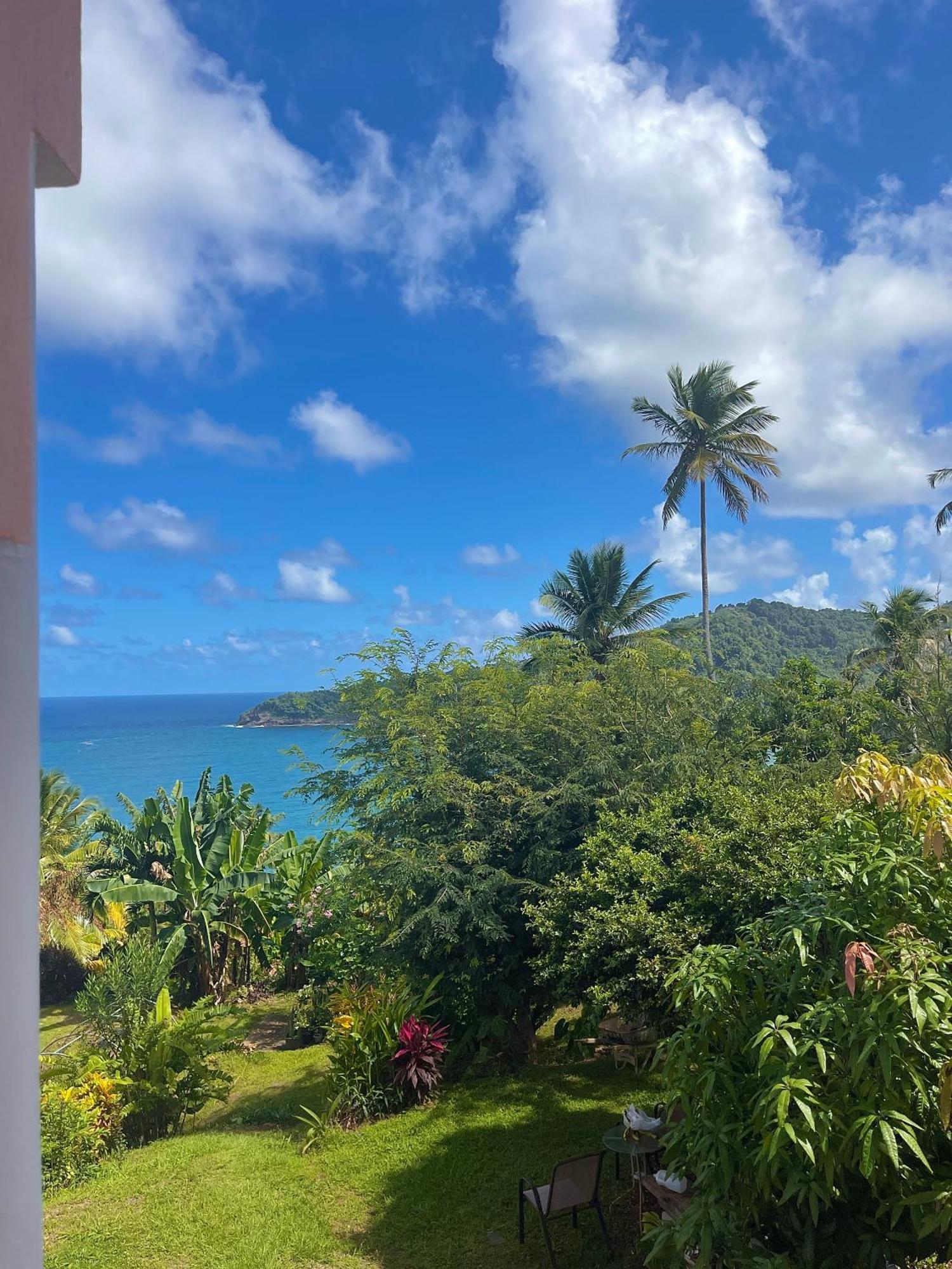 Hotel Happy Nest Dominica Marigot Esterno foto