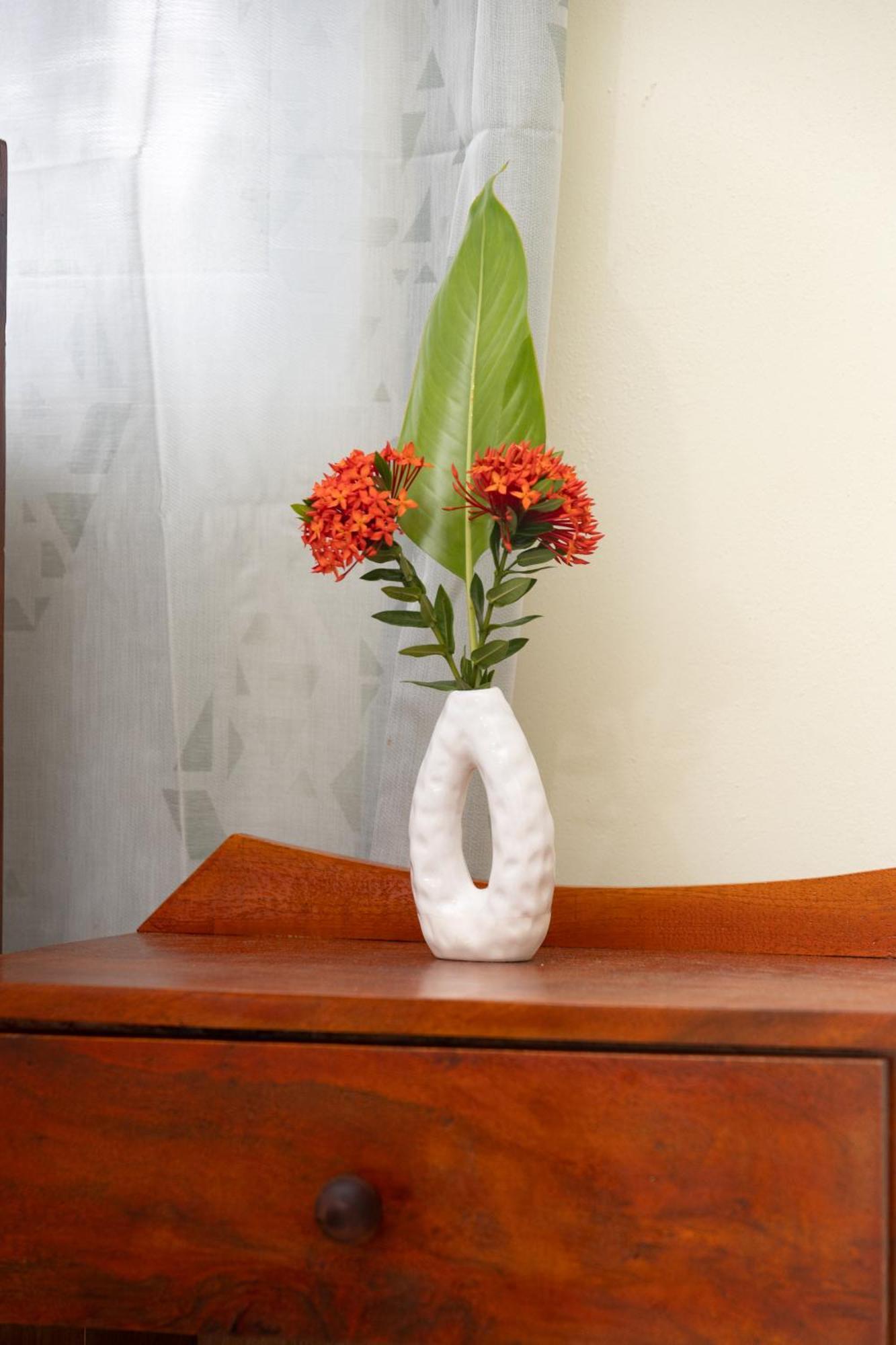Hotel Happy Nest Dominica Marigot Esterno foto